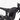 Talaria Sting MX3 - NIBBIRACING