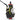 Choke Cable & Starter Plunger Kit For PE PWK Carburetor